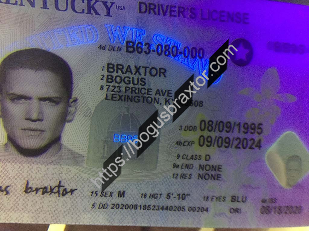 Kentucky Fake ID Bogusbraxtor
