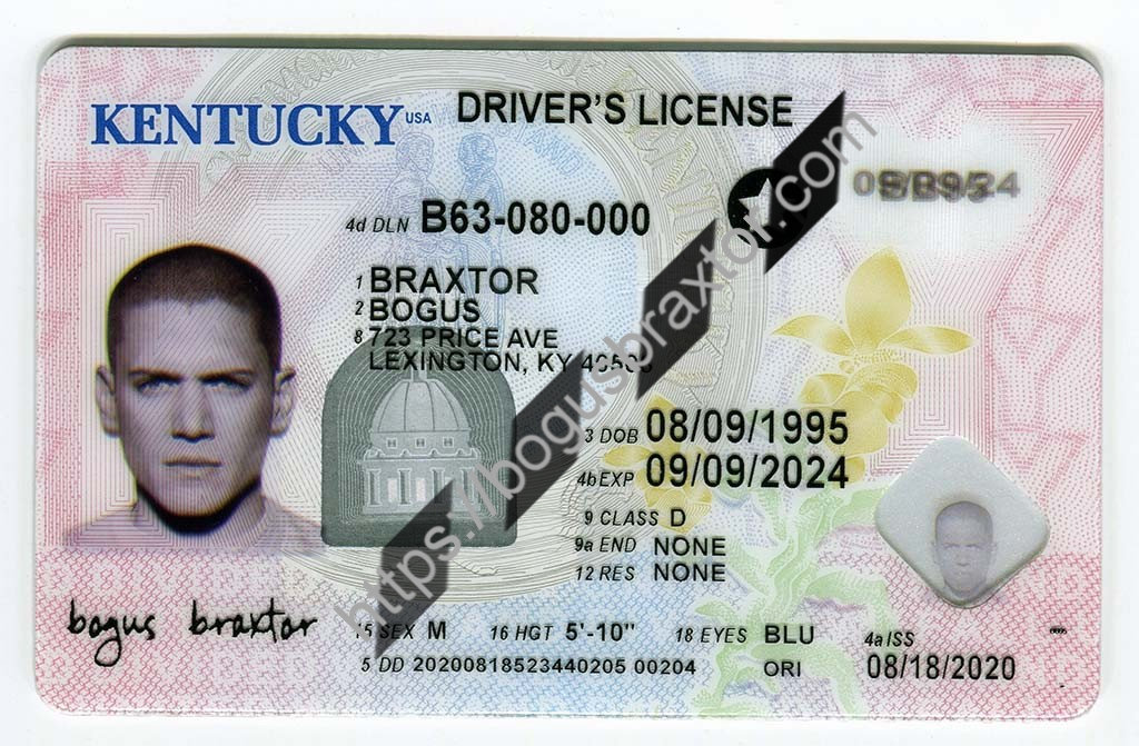 Kentucky Fake ID - Bogusbraxtor