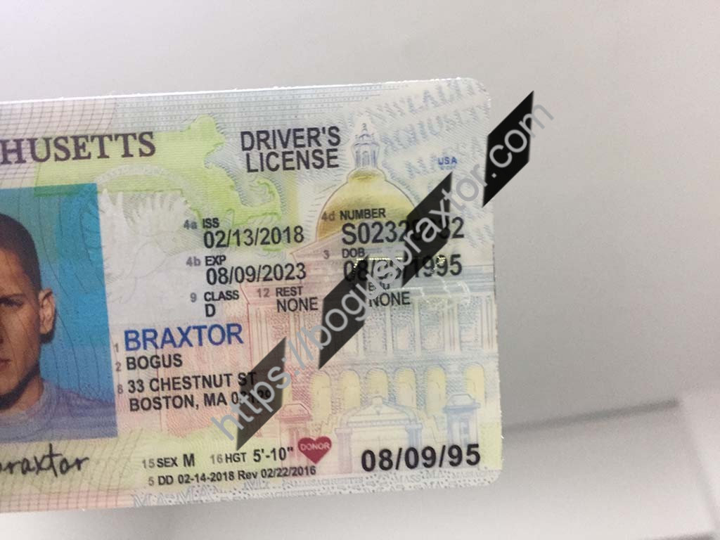 Massachusetts Fake ID Bogusbraxtor