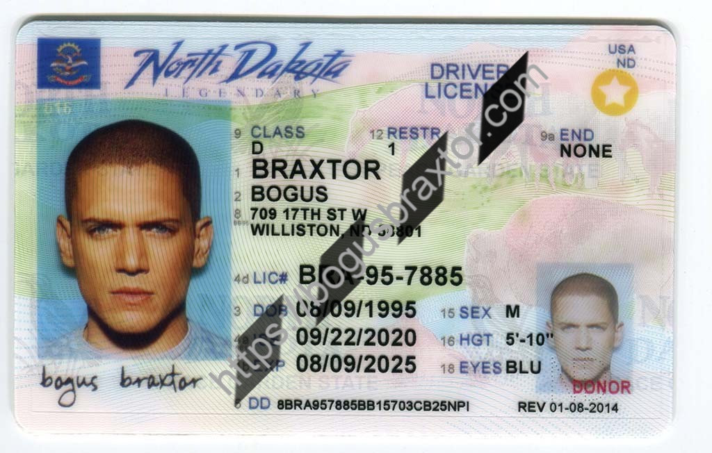 North Dakota Fake ID Bogusbraxtor
