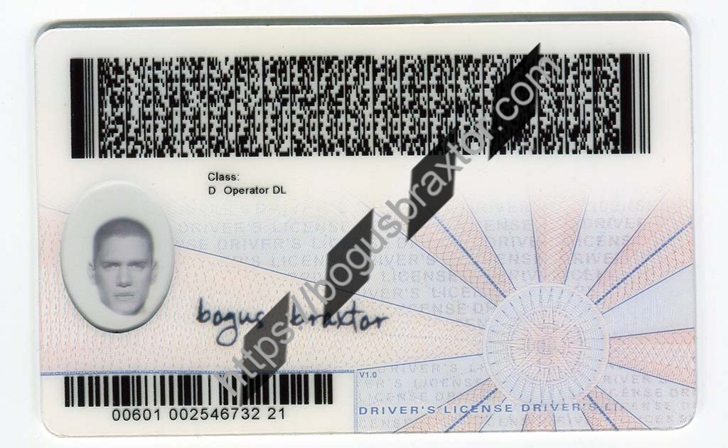 Virginia Fake ID Bogusbraxtor