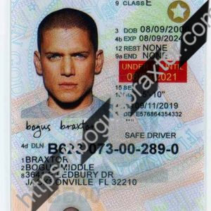 Florida Learner Fake ID