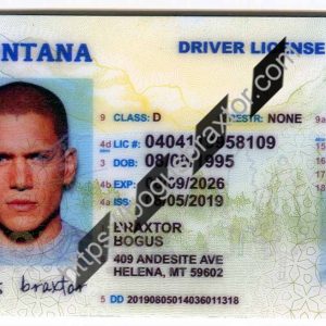 Montana Fake ID
