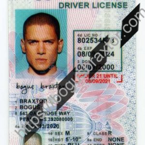 Under 21 Mississippi Fake ID