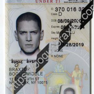 Under 21 New York Fake ID