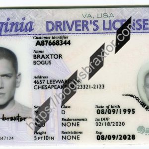 Virginia Fake ID