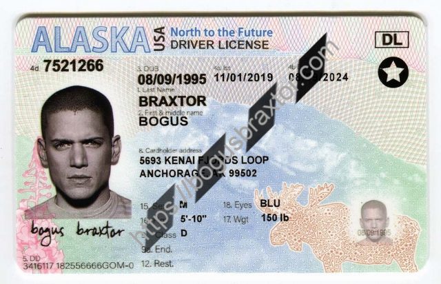 Bogus Braxtor Fake ID - Scannable Fake ID Cards