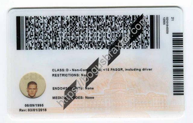 Bogus Braxtor Fake ID - Scannable Fake ID Cards