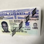 british-columbia-fake-driver-licence.jpeg
