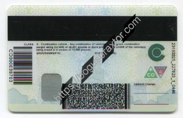 Colorado CDL Fake ID - Bogusbraxtor