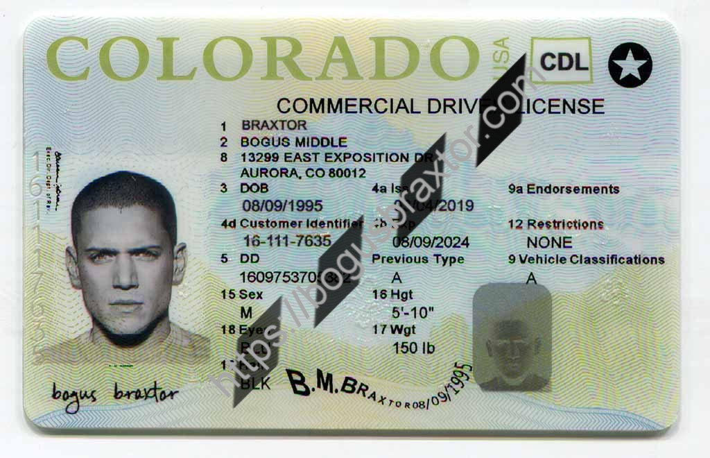 colorado driver license number dd