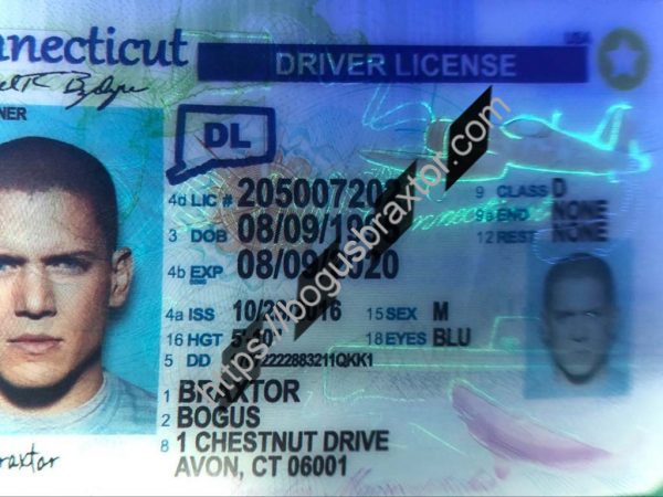 Connecticut Fake ID - Bogusbraxtor