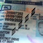 connecticut-fake-id-perforated-whale-design.jpeg