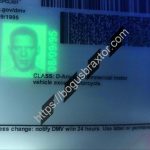 connecticut-fake-id-ultra-violet-ghost-image-clloned-security-feature.jpeg