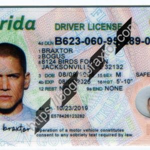 Florida fake id card.