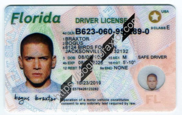 Florida fake id card.