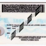 florida-scannable-fake-id-card-backside.jpeg