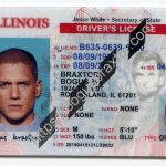 illinois-fake-id.jpeg