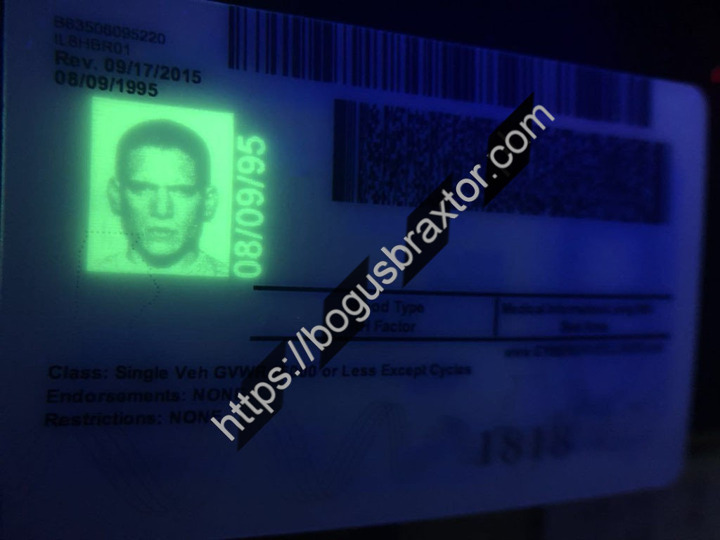 fake illinois id card