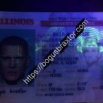 illinois-fake-id-cloned-ultra-violet-design.jpeg