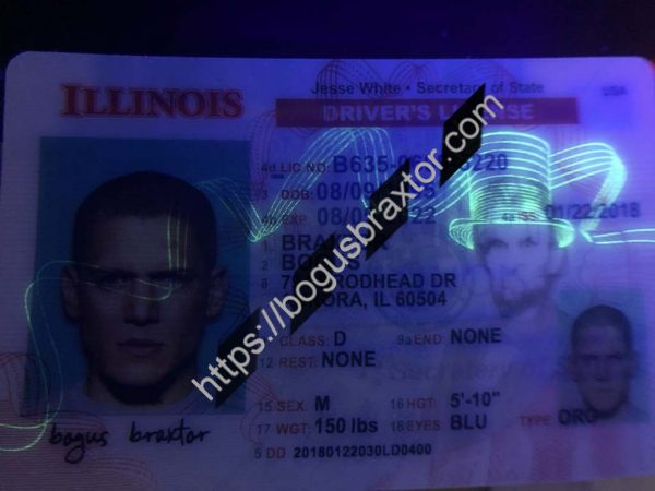 fake illinois id card