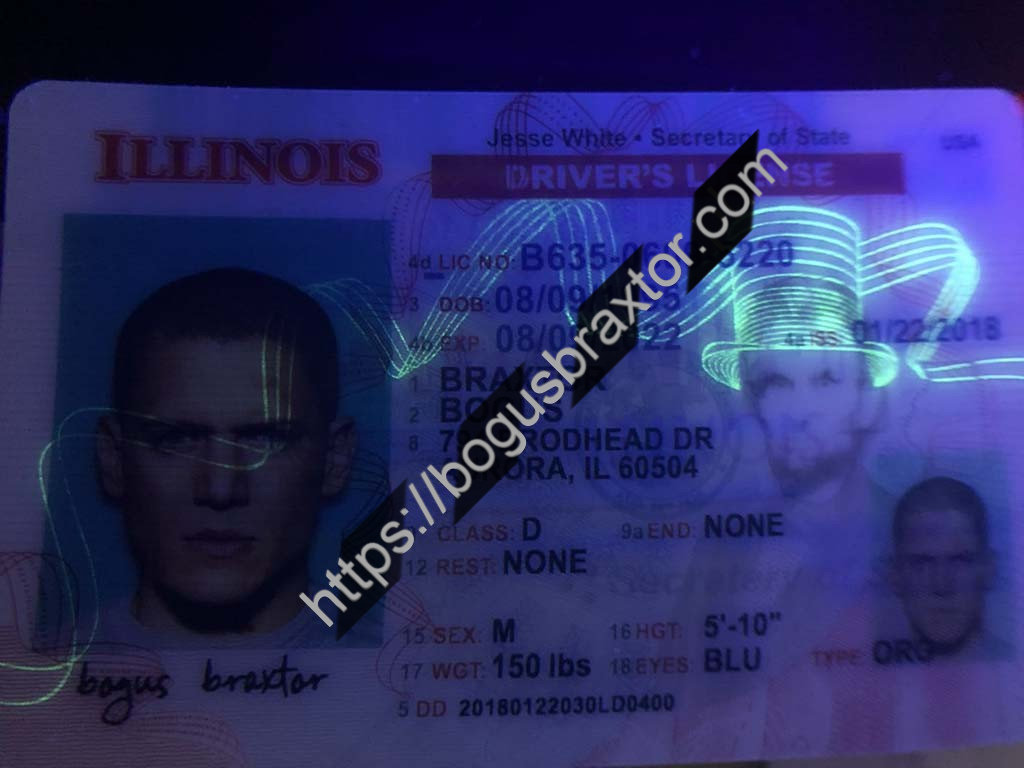 Illinois Fake ID Bogusbraxtor