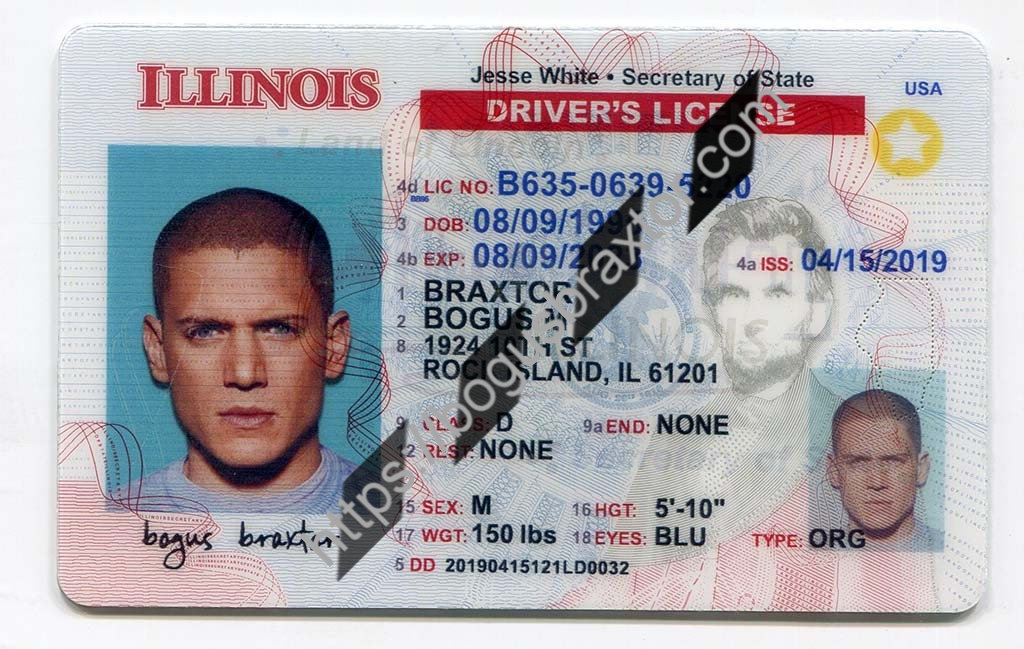 Illinois Fake ID - Bogusbraxtor