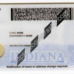 indiana-scannable-fake-id-card-backside.jpeg