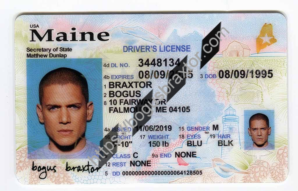 Maine Fake ID - Bogusbraxtor