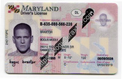 Maryland Fake Id - Bogusbraxtor