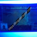 maryland-fake-id-card-backside-cloned-ultra-violet-design.jpeg