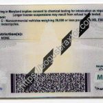 maryland-scannable-fake-id-card-backside.jpeg