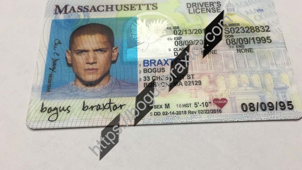 Massachusetts Fake ID Bogusbraxtor