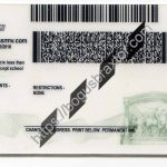 massachusetts-scannable-fake-id-card-backside.jpeg