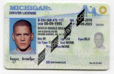 Michigan Fake ID - Bogusbraxtor