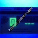 michigan-fake-id-card-backside-cloned-ultra-violet-design.jpeg