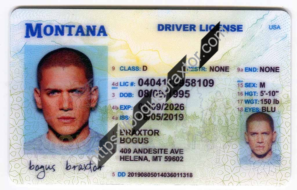 Fake Montana Id