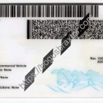 montana-scannable-fake-id-card-backside.jpeg