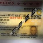 new-mexico-fake-id-cloned-perforated-design.jpeg