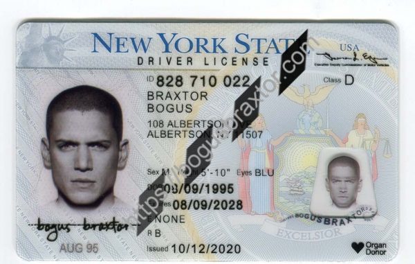 New York Fake ID - Bogusbraxtor