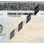new-york-scannable-fake-id-card-backside.jpeg