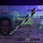 north-carolina-fake-id-cloned-ultra-violet-design.jpeg