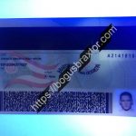 ohio-fake-id-card-backside-ultra-violet-design.jpeg