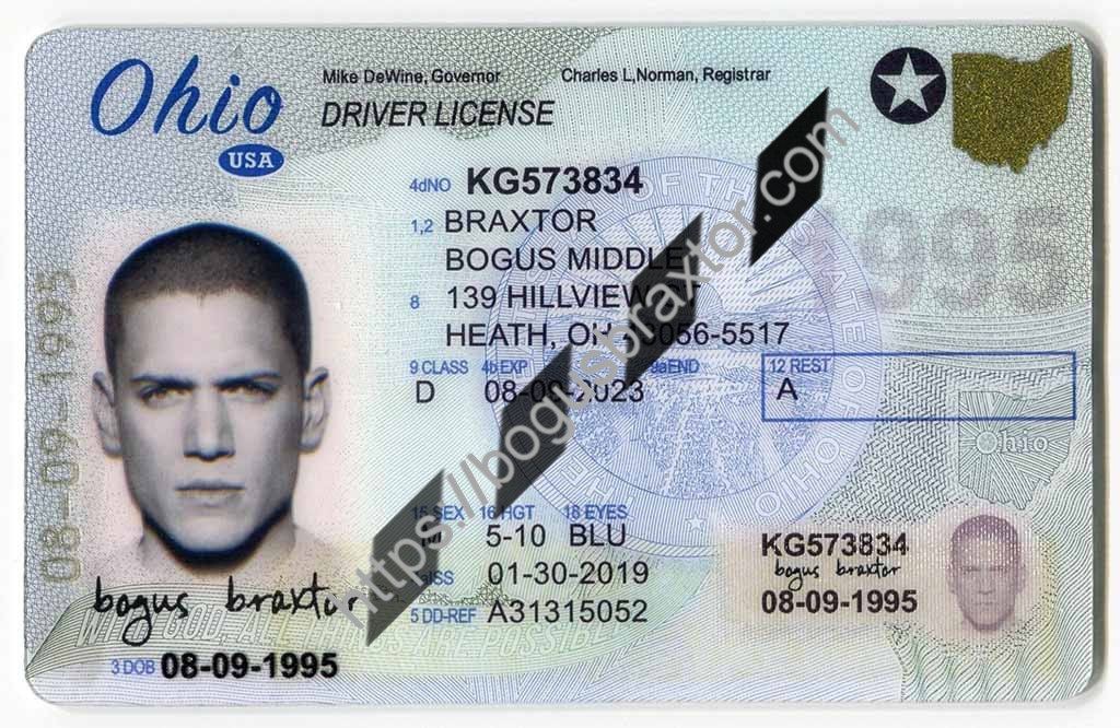 Ohio Fake ID - Bogusbraxtor