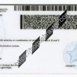 oklahoma-scannable-fake-id-card-backside.jpeg