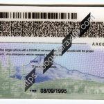 oregon-scannable-fake-id-card-backside.jpeg