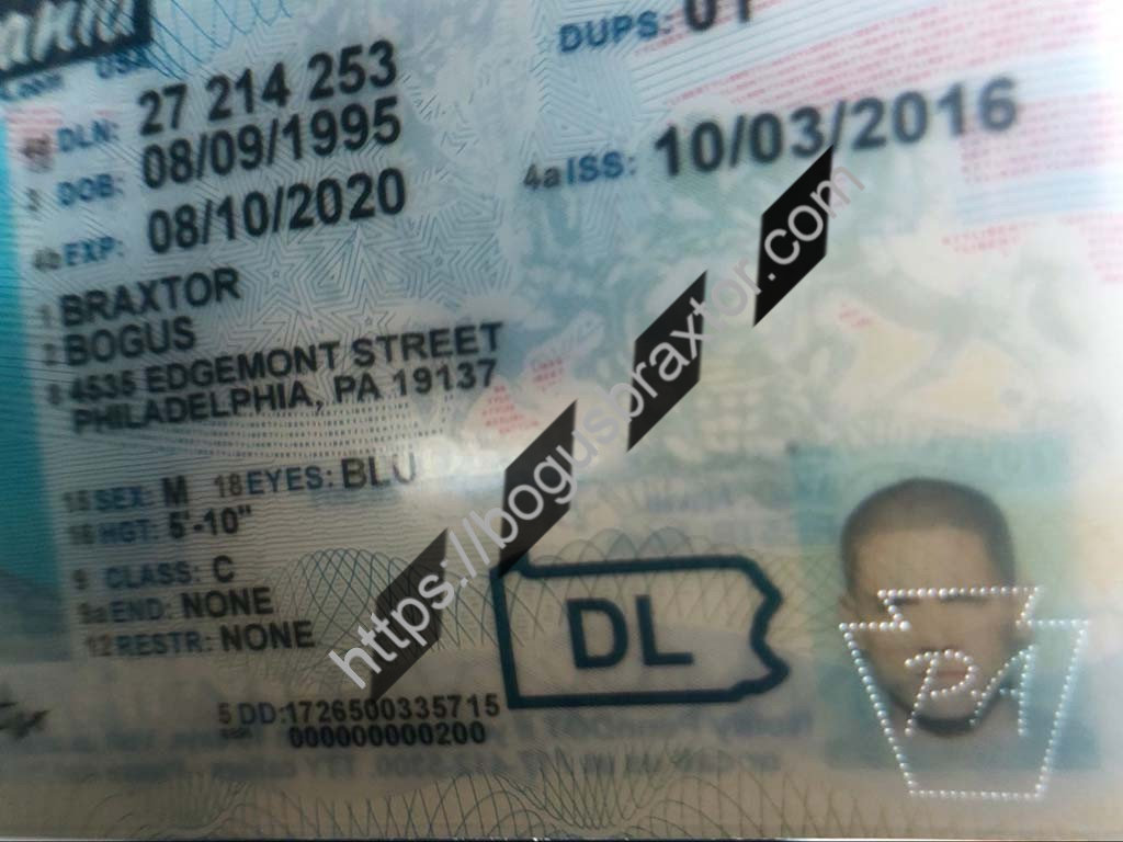 Pennsylvania Fake ID Bogusbraxtor