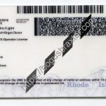 rhode-island-scannable-fake-id-card-backside.jpeg
