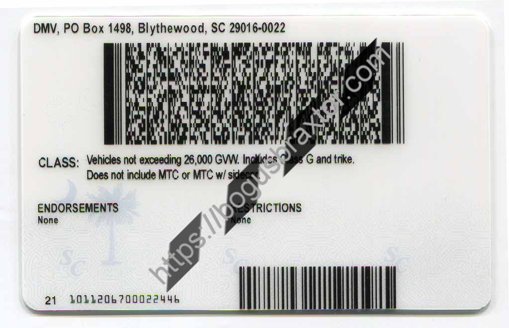 South Carolina Fake ID - Bogusbraxtor