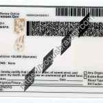 tennessee-scannable-fake-id-card-backside.jpeg